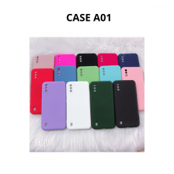 CASE A01