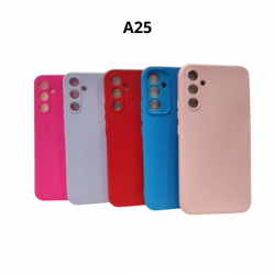 CASE A25