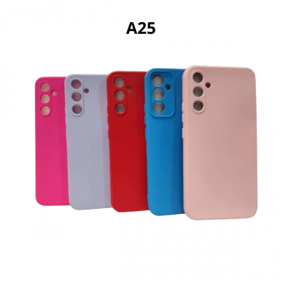 CASE A25