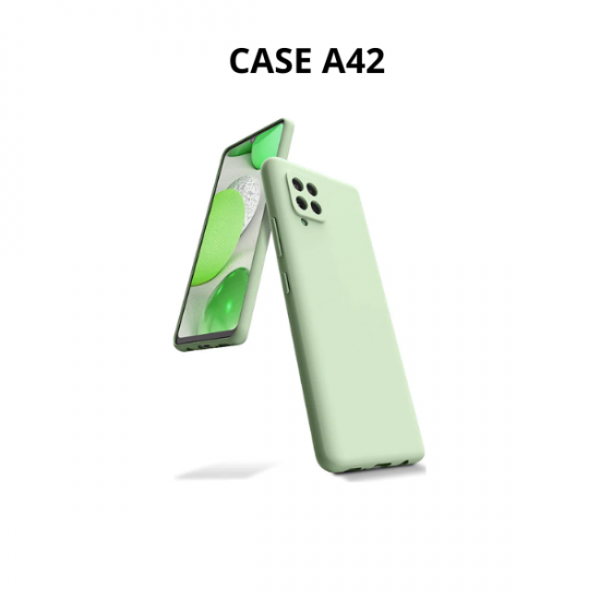 CASE A42