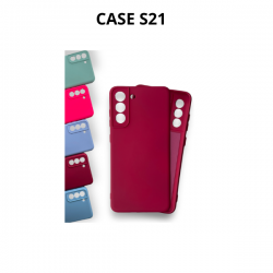 CASE S21