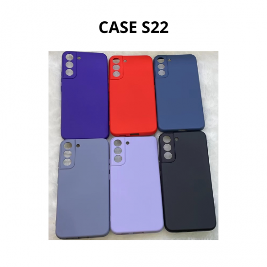 CASE S22