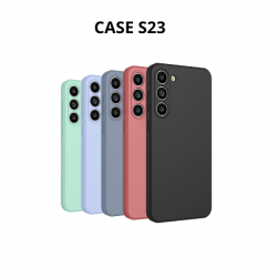 CASE S23